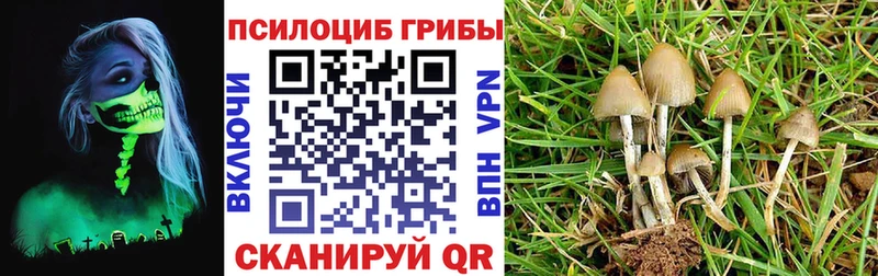 Псилоцибиновые грибы Cubensis  OMG зеркало  Купино 